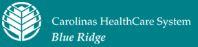 Blue Ridge Healthcare Company Logo